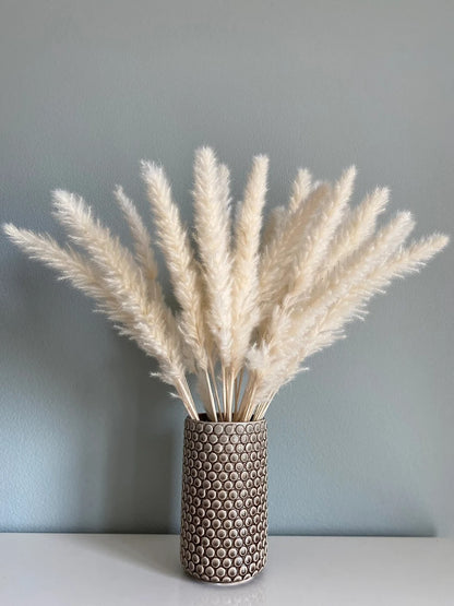 Natural Dried Mini Pampas