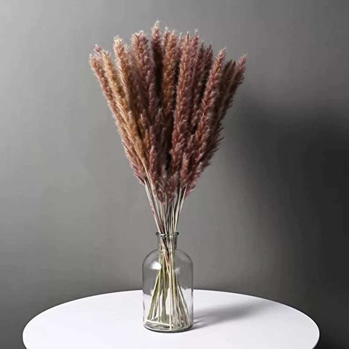 Natural Dried Mini Pampas