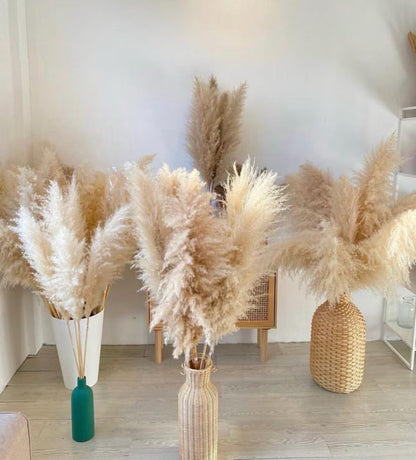 Natural Beige Dried Pampas